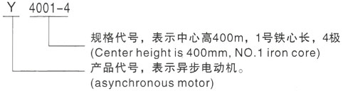 西安泰富西玛Y系列(H355-1000)高压YKS50010-6/1000KW三相异步电机型号说明